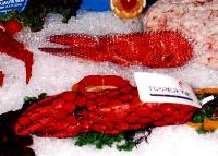 Lobster packaged in value added packaging netting