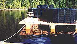 work raft